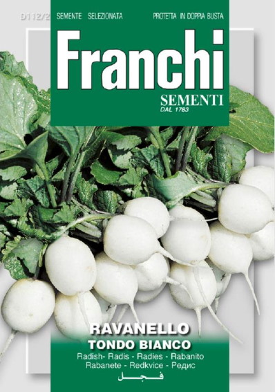 Radish Tondo Bianco (Raphanus) 1200 seeds FR